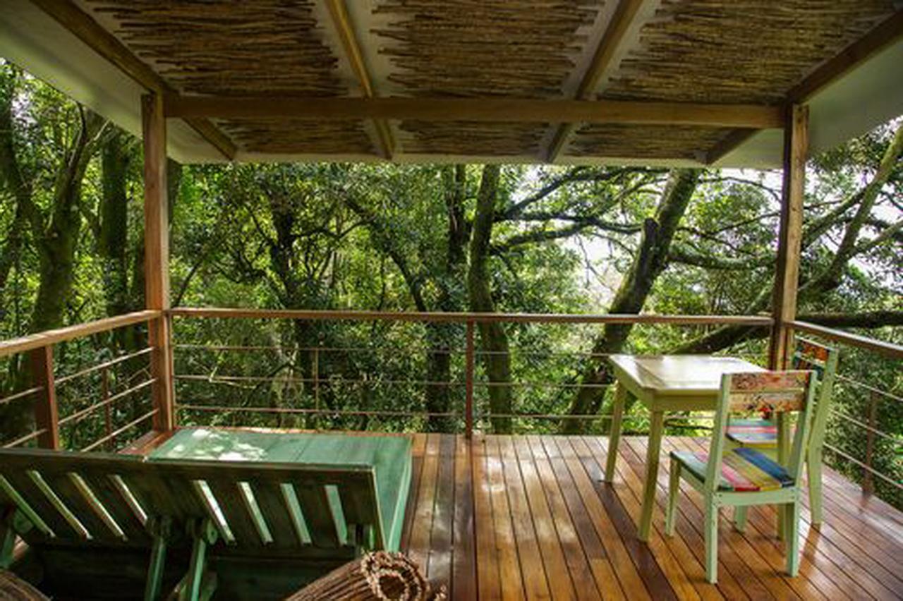 Chayote Lodge Zarcero エクステリア 写真
